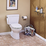 TOTO Eco Drake Two-Piece Toilet, 1.28 GPF, Round Bowl